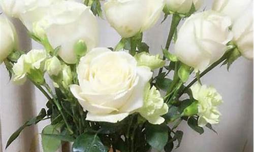 21朵白玫瑰的花语_21朵白玫瑰的花语和寓意